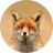 ProxyFoxy